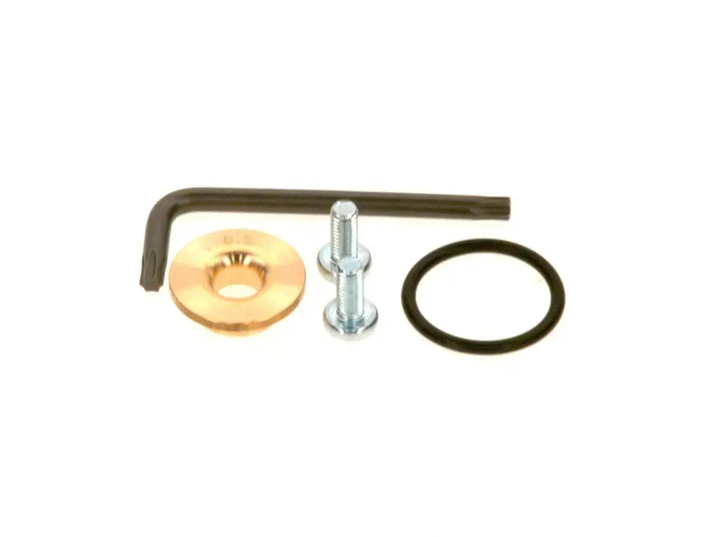 BOSCH Gasdüse mit Zubehörteilen: ein Sechskantschlüssel, eine Unterlegscheibe, eine Schraube und ein O-Ring. Alle Teile auf einem weißen Hintergrund angeordnet.